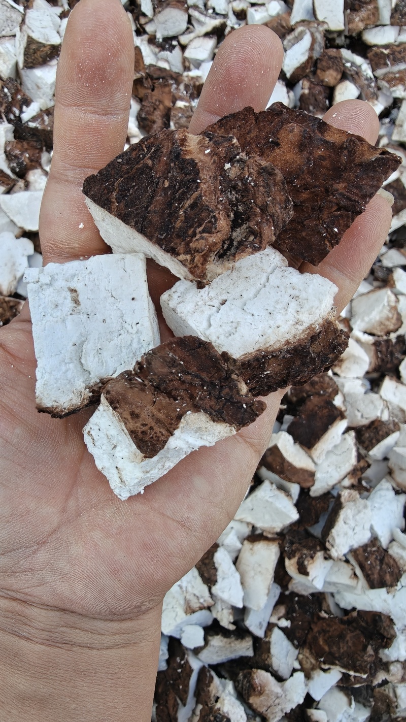 正宗云南深山老树白茯苓，带皮茯苓块，手工切，太阳晾晒干