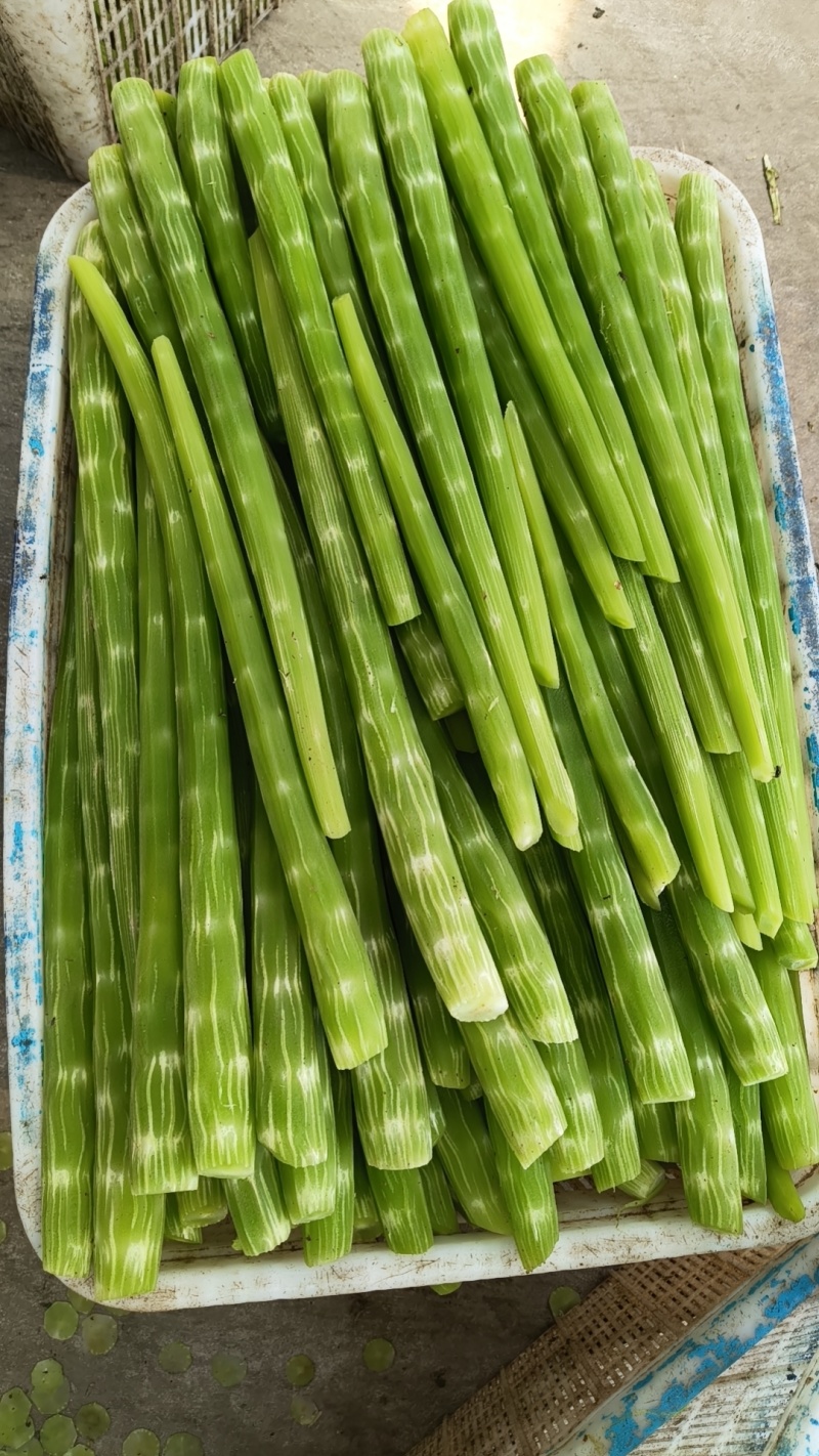 去皮莴笋肉工厂直发学校食堂餐饮配送公司常年供应