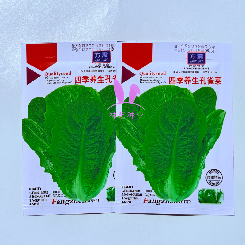 四季养生孔雀菜种籽罗马直立生菜种孑农家阳台庭院盆栽蔬菜种