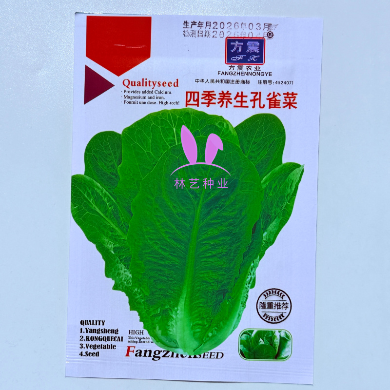 四季养生孔雀菜种籽罗马直立生菜种孑农家阳台庭院盆栽蔬菜种
