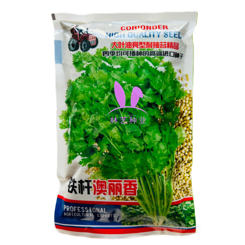 铁杆澳丽香大叶油亮型香菜种子高产抗病耐寒四季耐抽苔