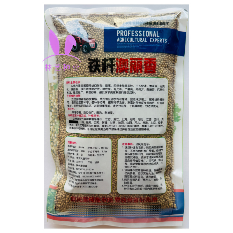 铁杆澳丽香大叶油亮型香菜种子高产抗病耐寒四季耐抽苔
