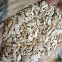 黄瓜子