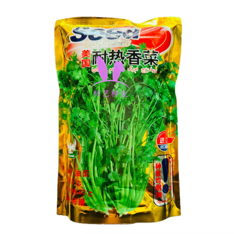 美国进口耐热香菜种子高产耐抽薹抗热43度农户夏季大面积种