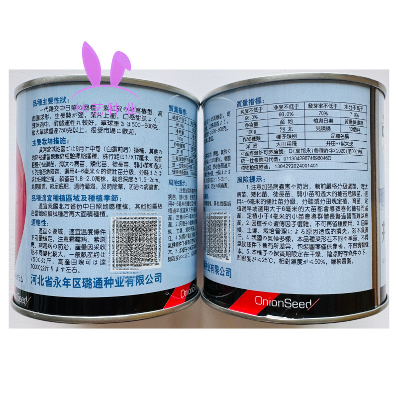 井田紫大球洋葱种子中日照半高椿型紫红皮扁圆球形葱蔬菜籽