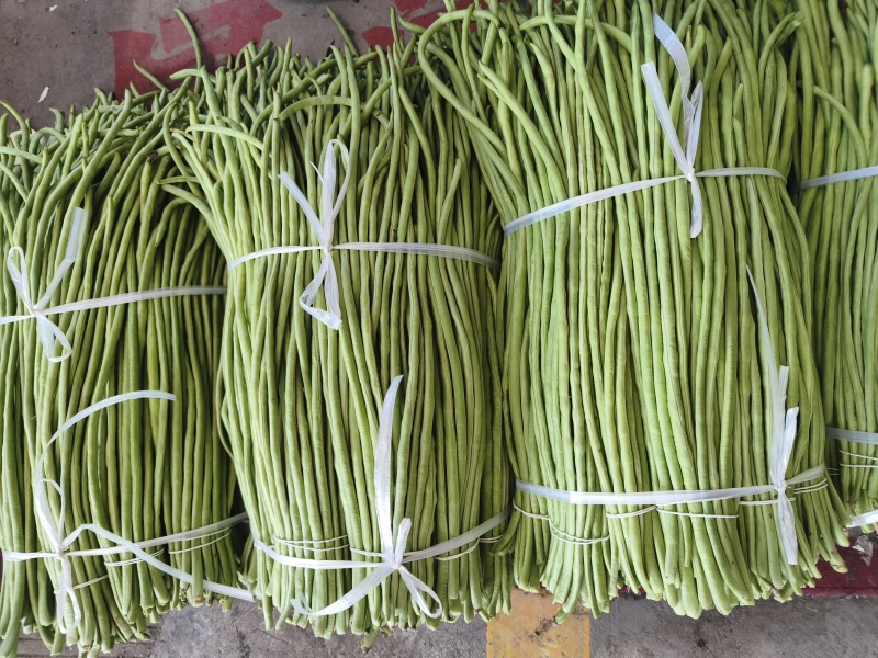长豆角/豇豆对接商超批发市场品质保证欢迎咨询