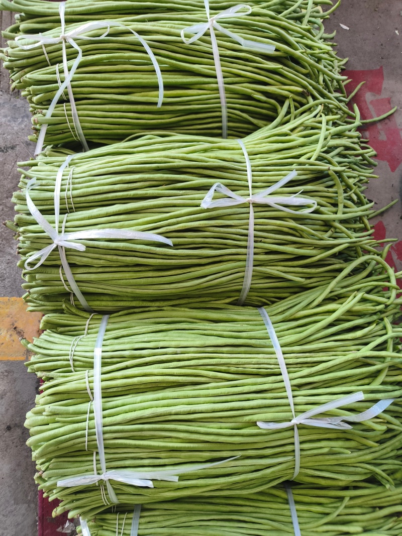 长豆角/豇豆对接商超批发市场品质保证欢迎咨询