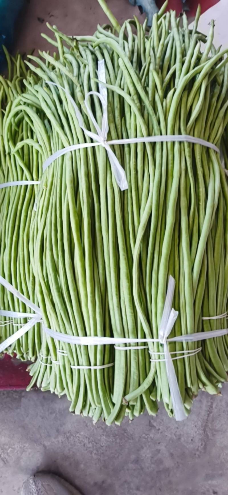 长豆角/豇豆对接商超批发市场品质保证欢迎咨询
