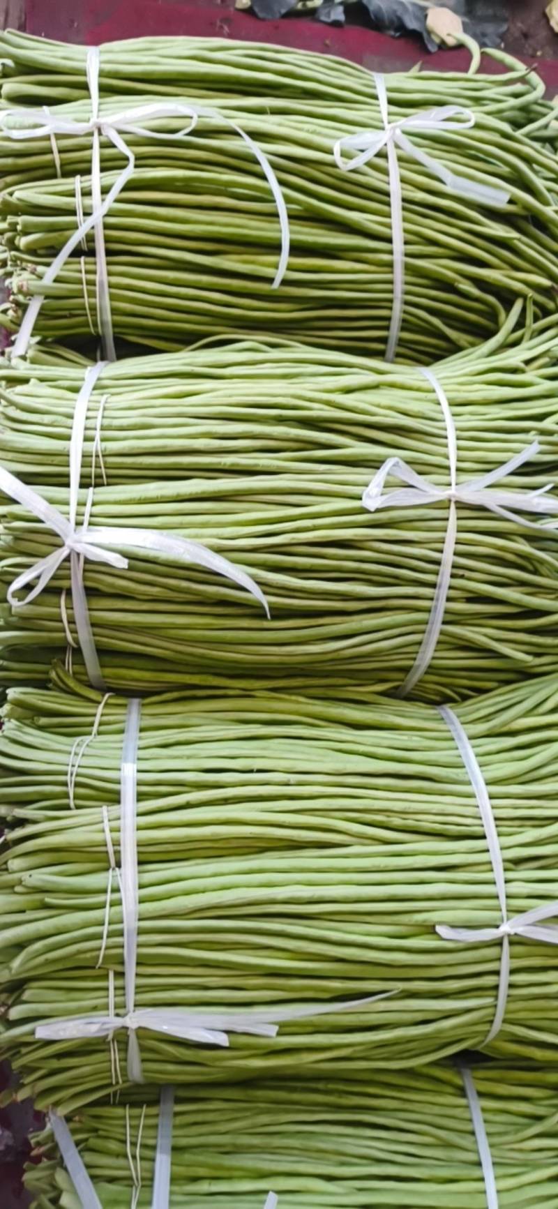 长豆角/豇豆对接商超批发市场品质保证欢迎咨询