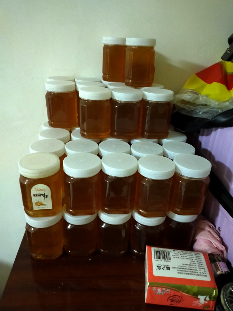 山里的棒棒巢蜜，一年取一次