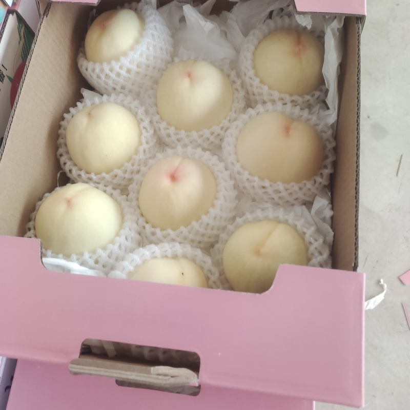 江苏徐州新沂水蜜桃，果肉细腻，核小肉厚水蜜桃