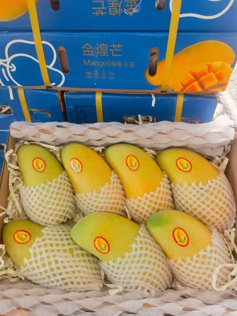 海南金煌芒一件代发包邮代收代办接直播团购