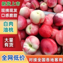 （精品白心油桃）中油23白肉油桃，口感非好吃，产地直供。