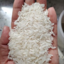 各种品类大米一手货源全国发货量大价优欢迎随时联系