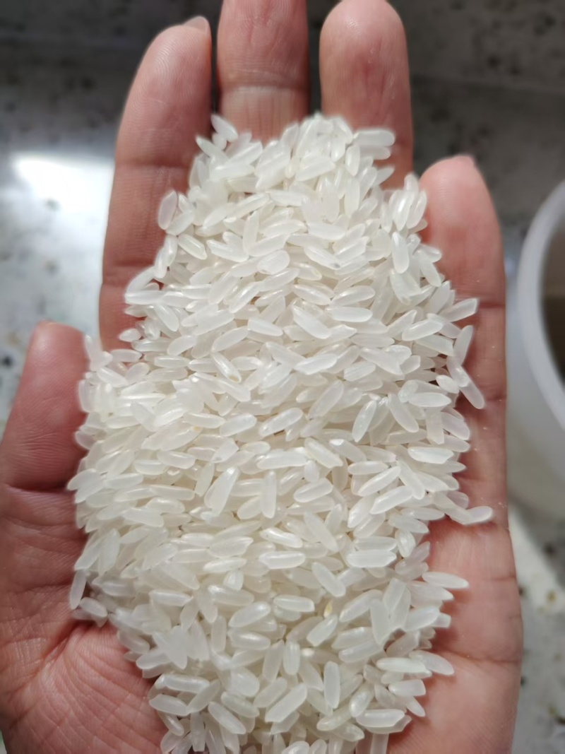 各种品类大米一手货源全国发货量大价优欢迎随时联系