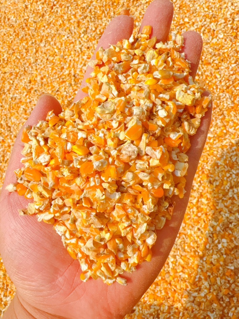 碎玉米，玉米碎，玉米下脚料，干玉米，养殖碎玉米，养殖玉米碎