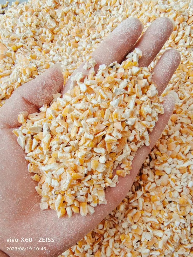 碎玉米，玉米碎，玉米下脚料，玉米漏，玉米