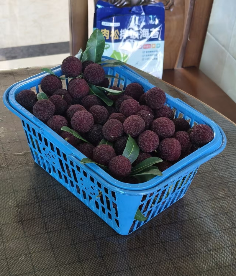 仙居杨梅，夏季上新