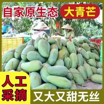 《云南大青芒》贵妃芒/金煌芒/电商一件代发/市场批发