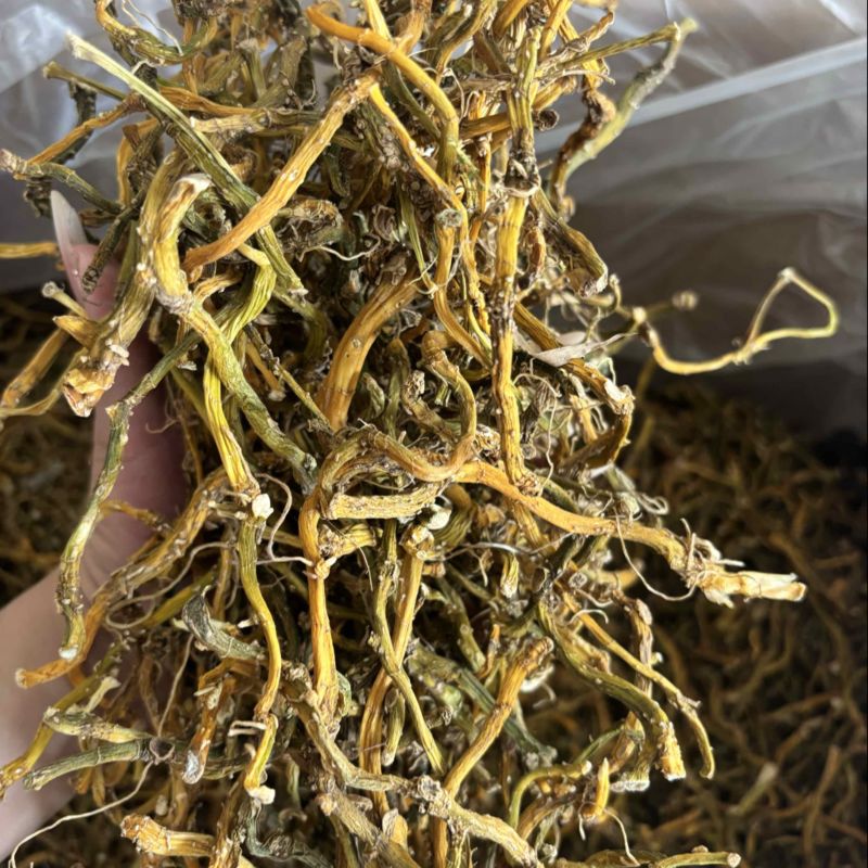 玉竹三蒸三晒玉竹无硫熏新货批发零售均可