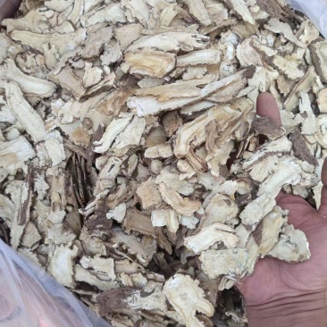 陇源特产当归条当归片/量大从优/保质保量诚信经营/欢迎下单