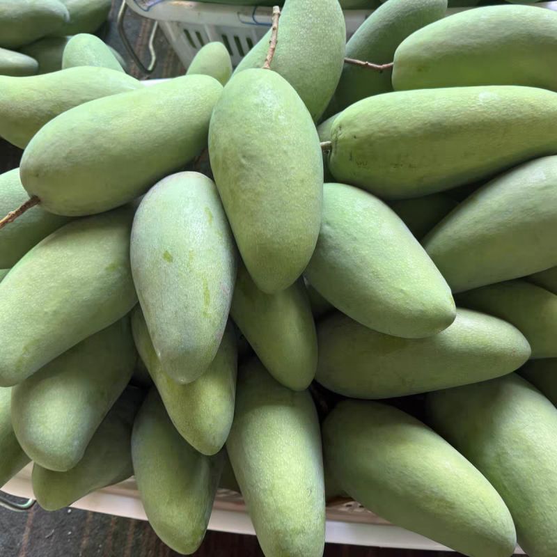 《芒果》云南大青芒/贵妃芒金煌芒/电商一件代发/市场批发