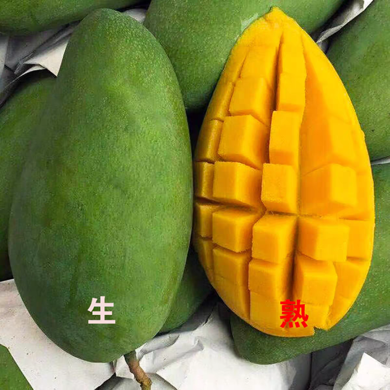《芒果》云南大青芒/贵妃芒金煌芒/电商一件代发/市场批发