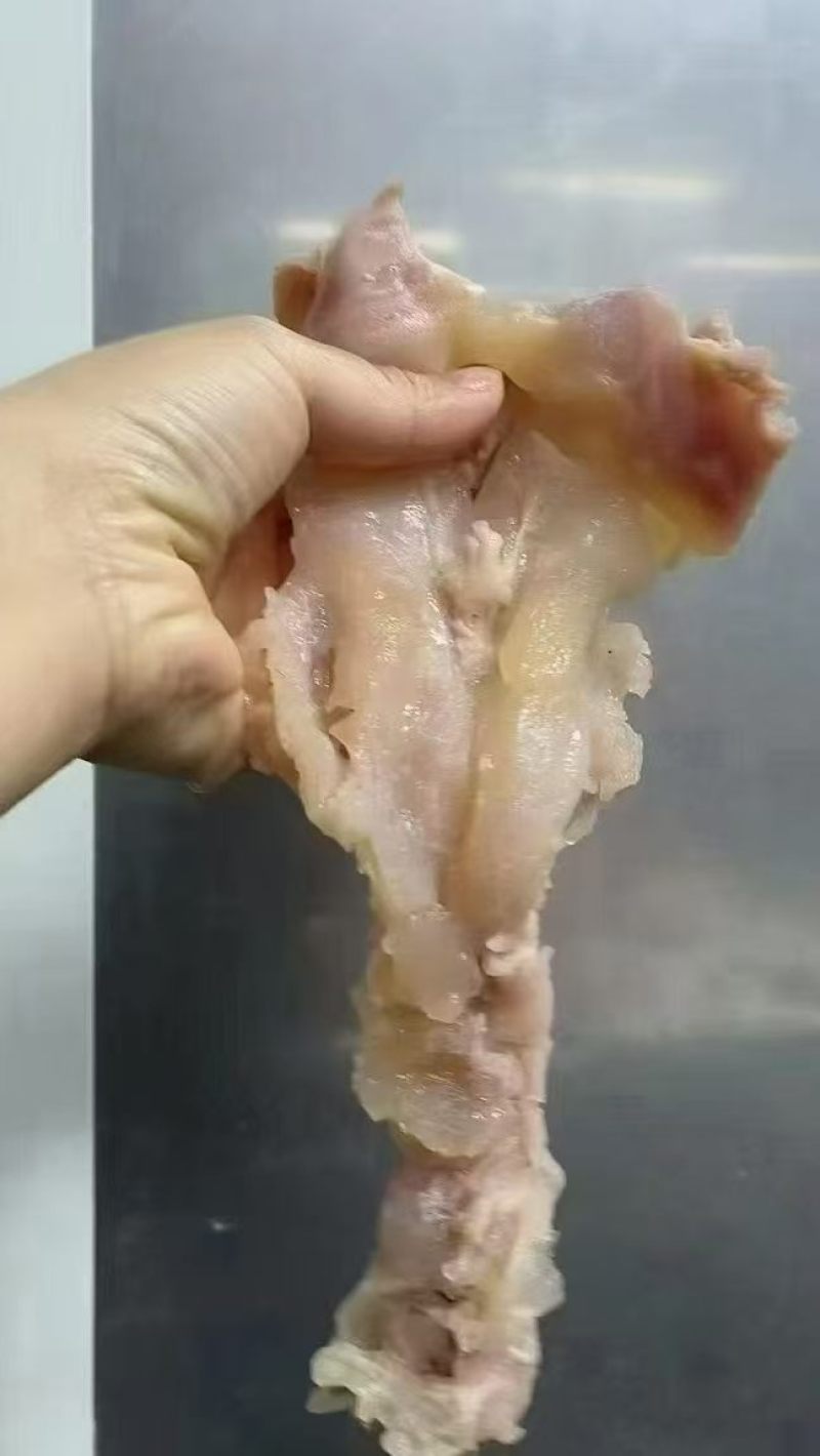 熟牛蹄筋