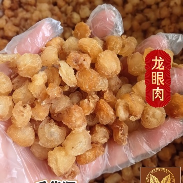 源头工厂批发广西博白精品桂圆肉无硫自然烘干无核龙眼肉多品种