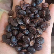 香八角麻罕