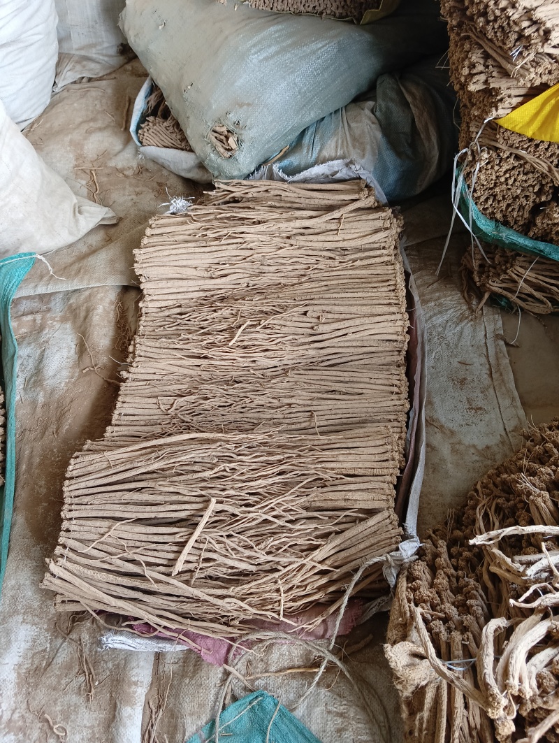 甘肃原产白条党参精品长条