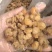 源头工厂批发广西博白精品桂圆肉无硫自然烘干无核龙眼肉多品种