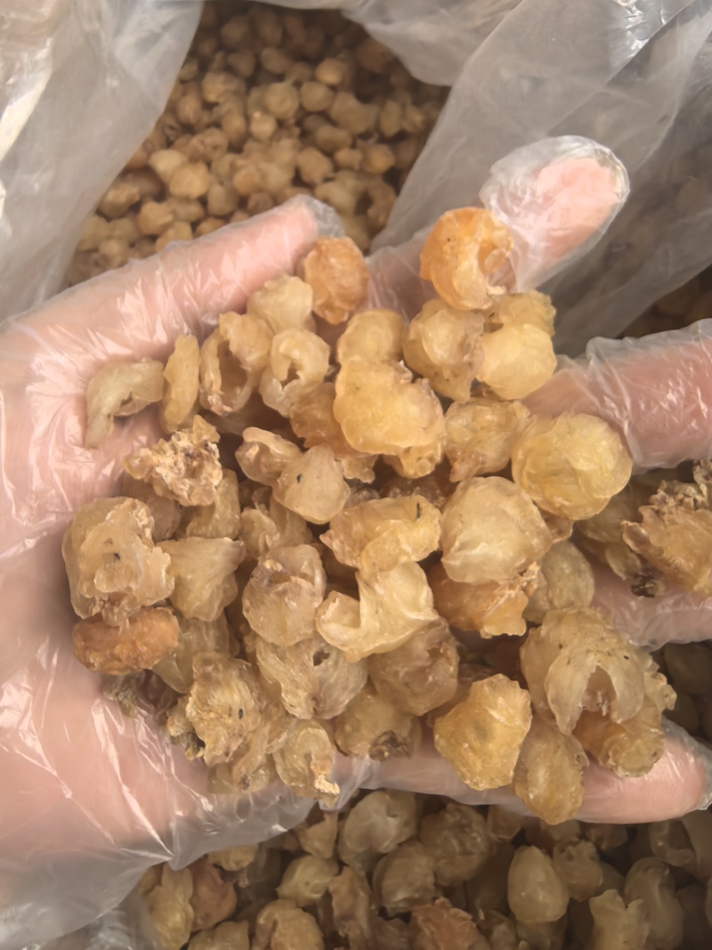 源头工厂批发广西博白精品桂圆肉无硫自然烘干无核龙眼肉多品种