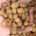 源头工厂批发广西博白精品桂圆肉无硫自然烘干无核龙眼肉多品种