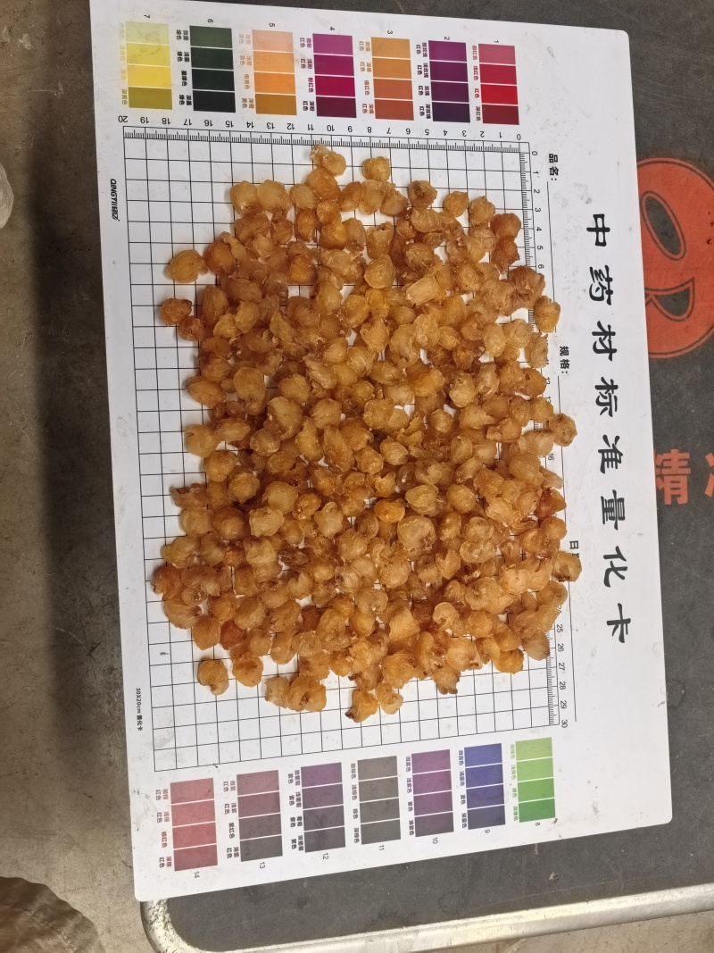 源头工厂批发广西博白精品桂圆肉无硫自然烘干无核龙眼肉多品种