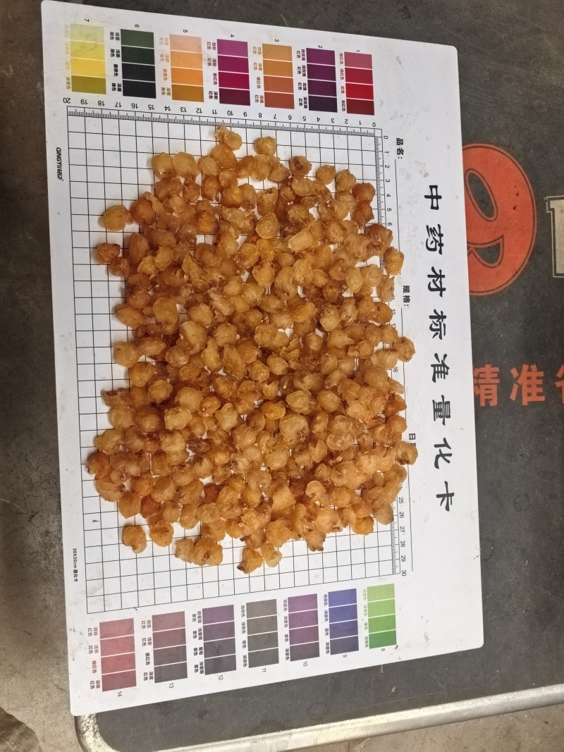 源头工厂批发广西博白精品桂圆肉无硫自然烘干无核龙眼肉多品种