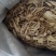 甘肃原产当归片，价格便宜货源充足欢迎来电