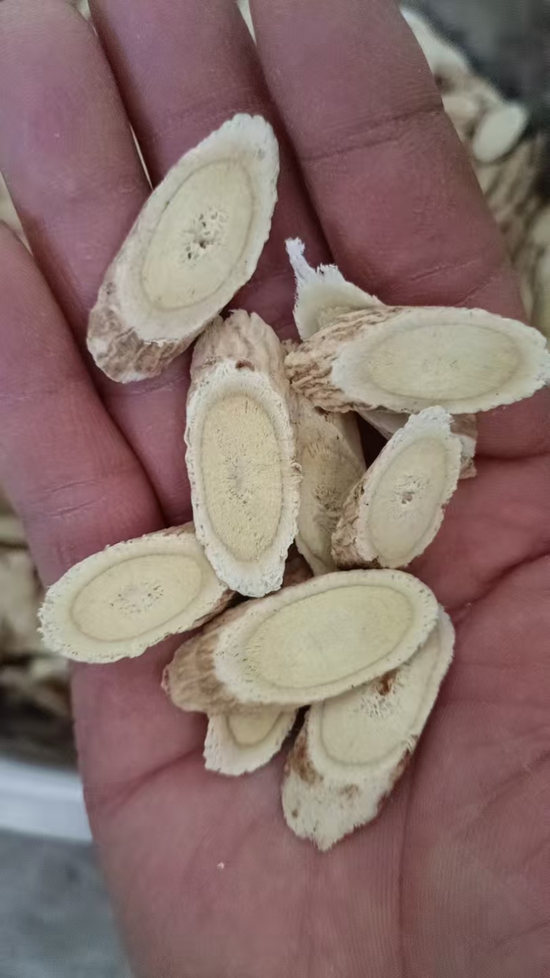 甘肃原产特大黄芪片/量大价优货源充足欢迎来电