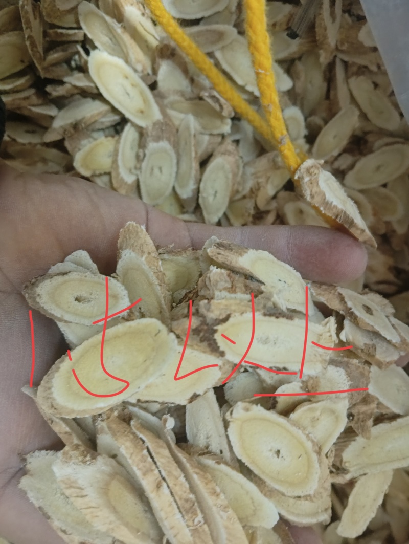 甘肃原产特大黄芪片/量大价优货源充足欢迎来电