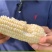高甜水果牛奶爆浆玉米，糖度可达18左右，可生食无渣！