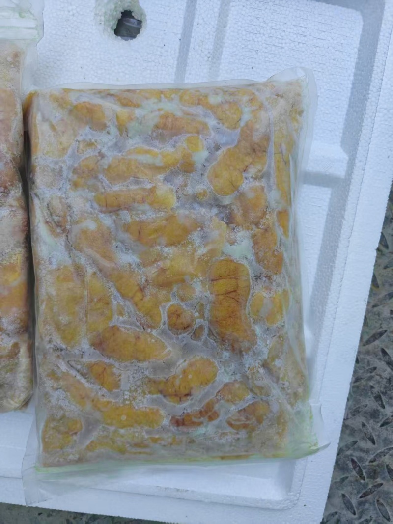 精品冻黑鱼籽活鱼取籽完整无碎极速锁鲜无腥无杂