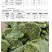 葵饼家畜饲养饲料含油9.32%水分3.86%蛋白25.7