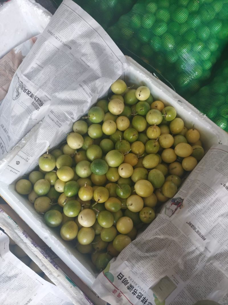 海南陵水百香果