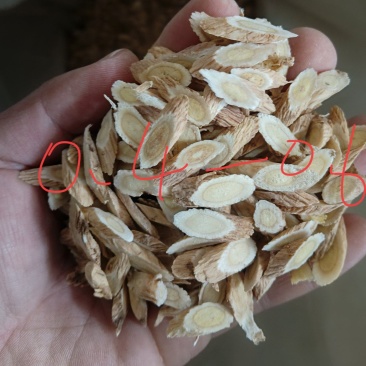 甘肃原产黄芪片