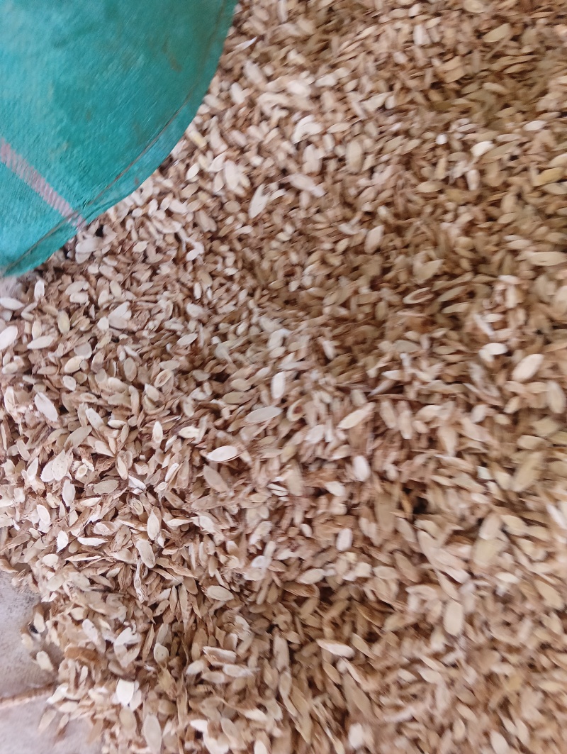 甘肃原产黄芪片