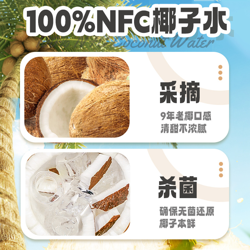 椰子粉