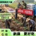 山东精品紫皮大蒜2026年新蒜辛辣味十足价格实惠