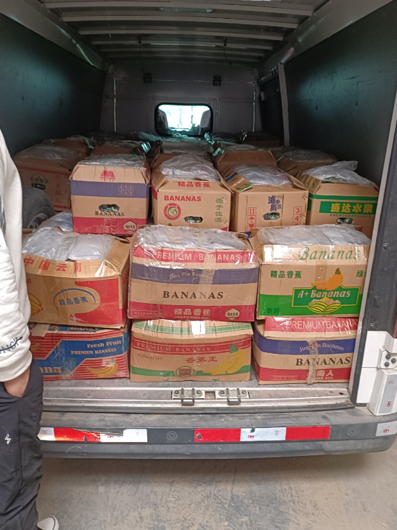 精品水果黄瓜，大量上市，供应市场商超电商，量大从优