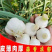 2026年山东白皮蒜现挖现发蒜香浓郁产地直发个头均匀
