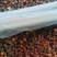 昆仑胎菊新疆高海拔原味高品质花草茶包邮批发